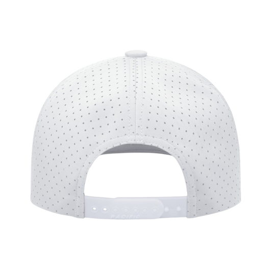 Arctic Snapback