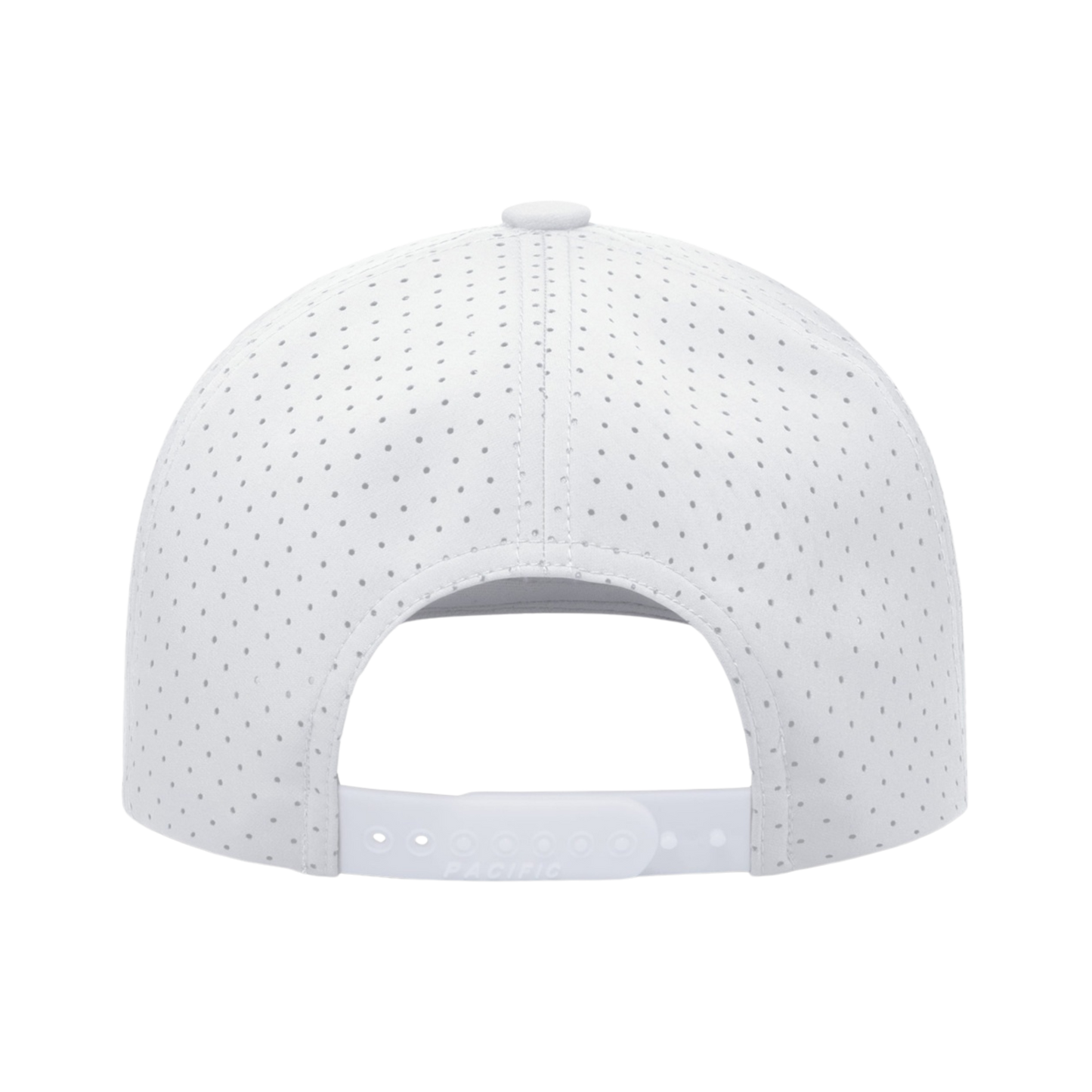 Arctic Snapback