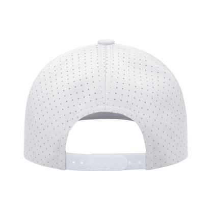 Arctic Snapback